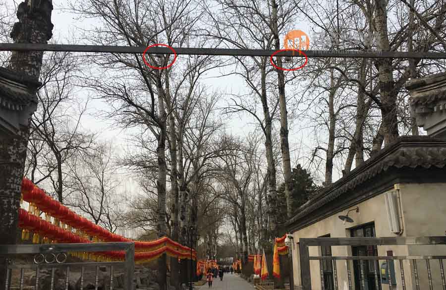 圓明園全面采用我司客流統(tǒng)計系統(tǒng)管理園區(qū)客流(圖2) 圓明園全面采用我司客流統(tǒng)計系統(tǒng)管理園區(qū)客流(圖2)